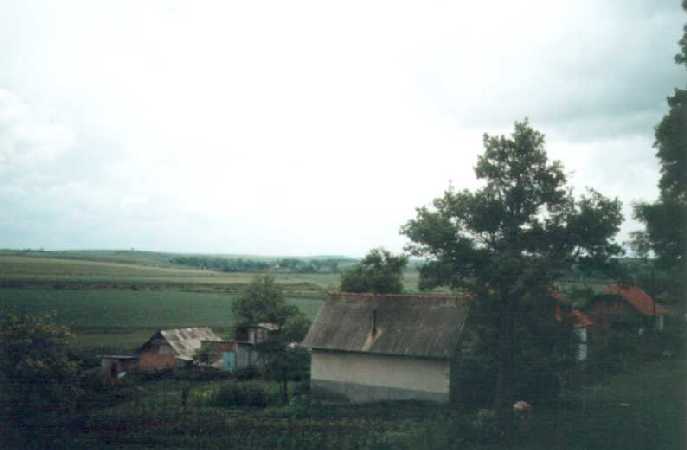 Wies przed brama